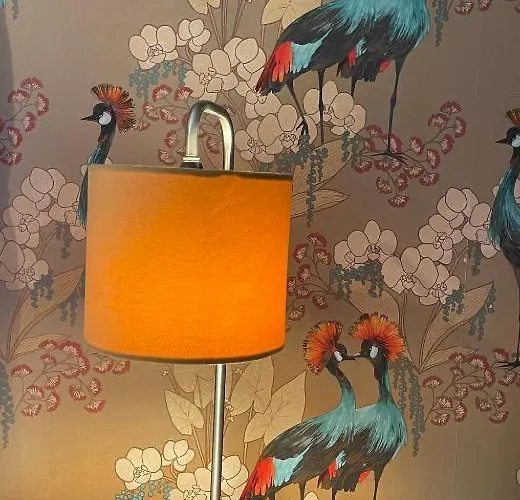 Apartment Light & Bright, Centrally Located Bristol