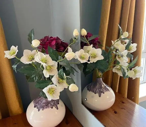 Light & Bright, Centrally Located דירה